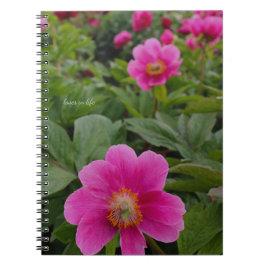 Ensamstående Rosa Peonies Anteckningsbok