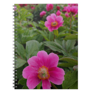 Ensamstående Rosa Peonies Anteckningsbok