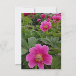 Ensamstående Rosa Peonies Anteckningskort