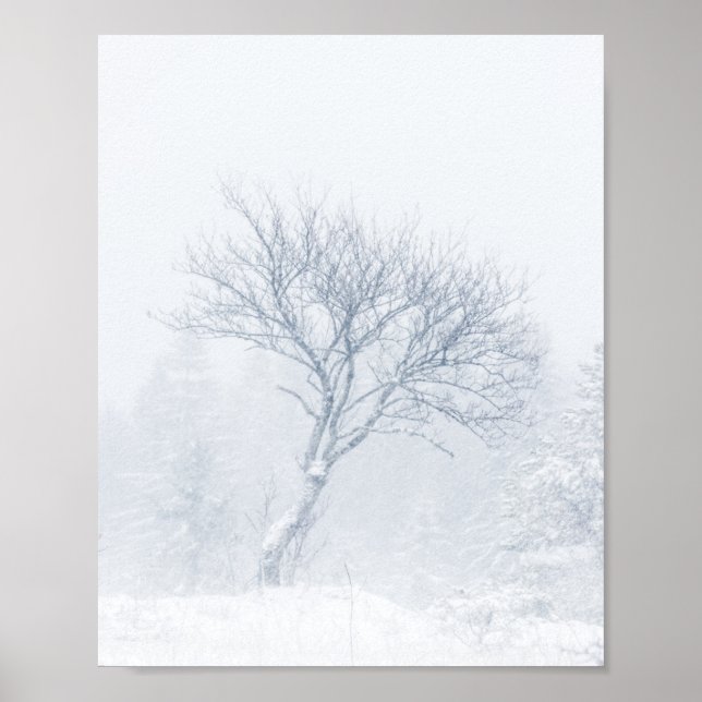 Ensamt träd under snöstorm på vintern poster (Framsidan)