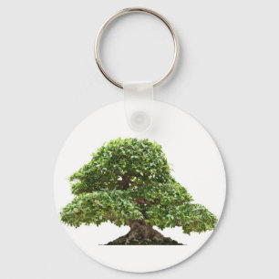 Ensidig Ficus bonsai Nyckelring