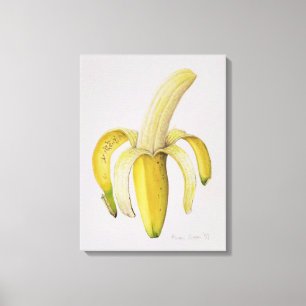 Enskalad banan 1997 canvastryck