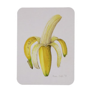 Enskalad banan 1997 magnet