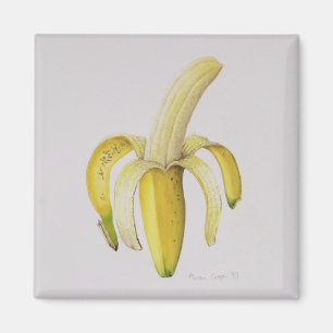 Enskalad banan 1997 magnet