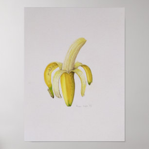 Enskalad banan 1997 poster