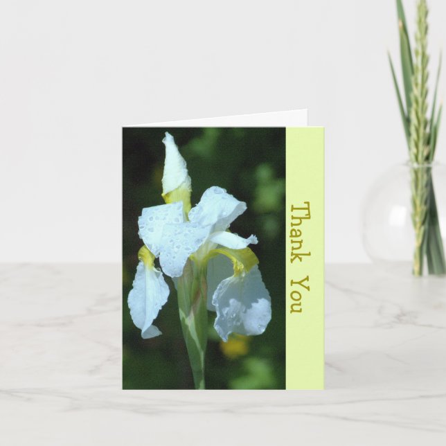 ENSKILDA VITA IRIS MED RAINDROPPAR KORT (Framsida)
