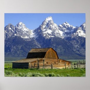 Enslig ladugård på storslagna Tetons Poster