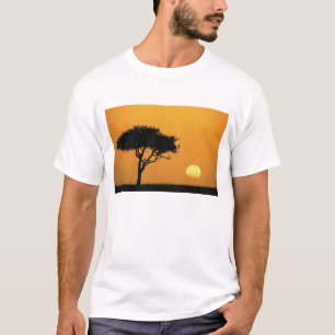 Enstaka akaciaträd i silhuett vid soluppgång, Masa Tee Shirt
