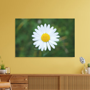 enstaka stora tusenskönas blomning canvastryck