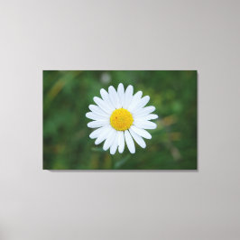 enstaka stora tusenskönas blomning canvastryck