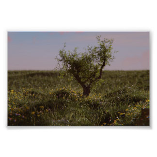 Enstaka träd fototryck