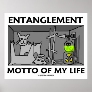 Entanglement Motto från mitt liv (kvantfysik) Poster