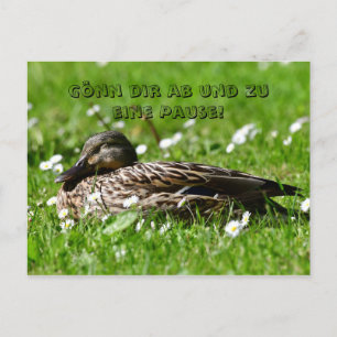 Ente auf einer Wiese Postkarte Vykort