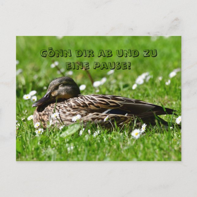 Ente auf einer Wiese Postkarte Vykort (Framsida)
