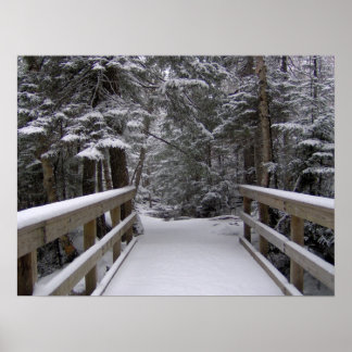 Enter - New Hampshire Snö Scene Poster