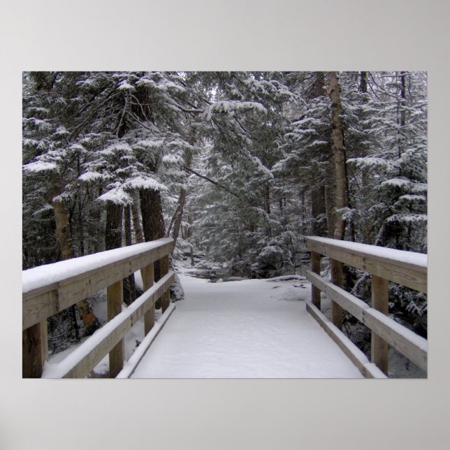 Enter - New Hampshire Snö Scene Poster (Framsidan)