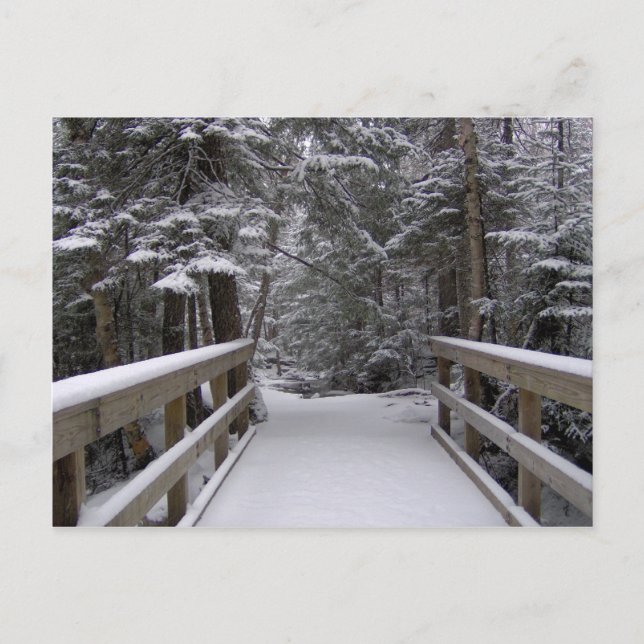 Enter - New Hampshire Snö Scene-vykort Vykort (Framsida)