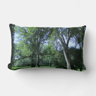 Entering the Greenwood Lumbarkudde