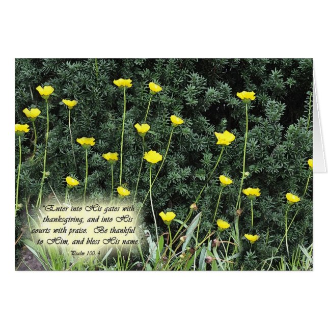 EnterintoHisgatesZazzle OBS Kort (Framsidan Horizontal)
