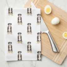 Entlebucher Mountain Hund