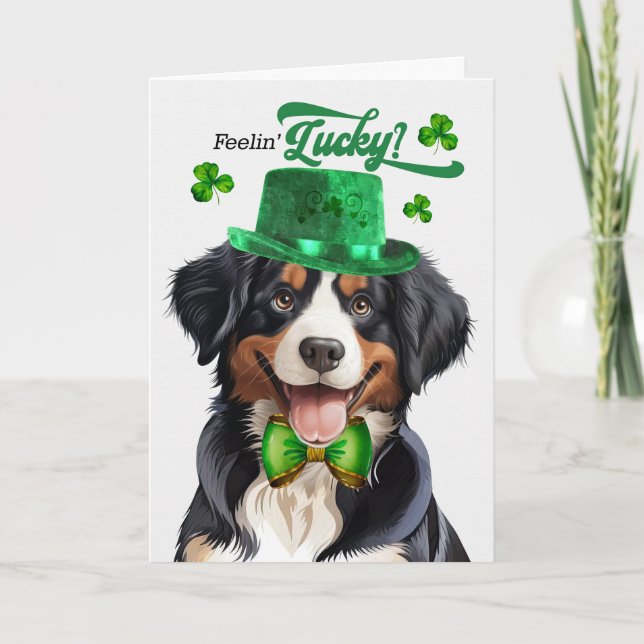 Entlebucher Mountain Hund Lucky St patrick's day Helgkort (Framsida)