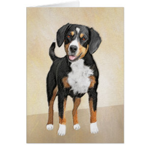 Entlebucher Mountain-Hund - originalbild Hälsningskort