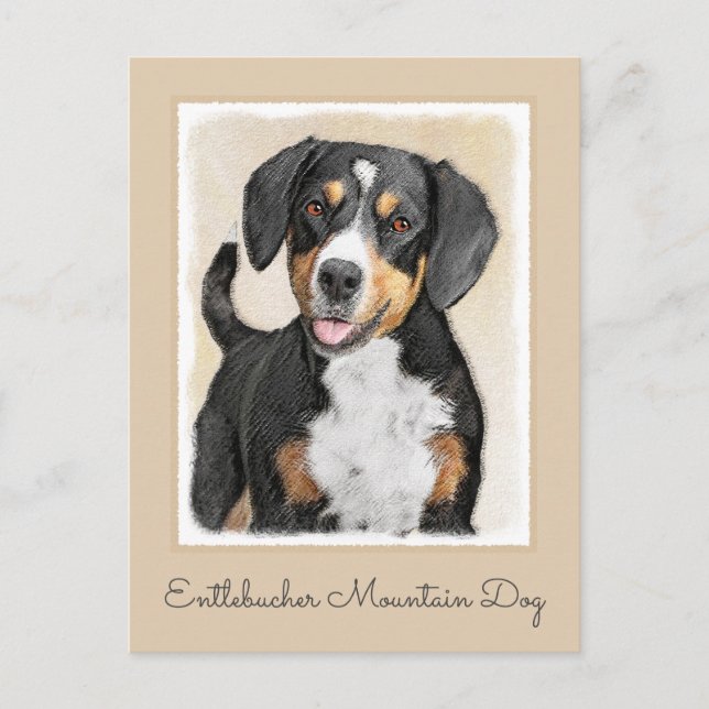 Entlebucher Mountain Hund Painting - Original Art Vykort (Framsida)