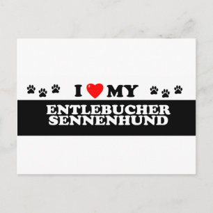 ENTLEBUCHER SENNEHUND_ VYKORT