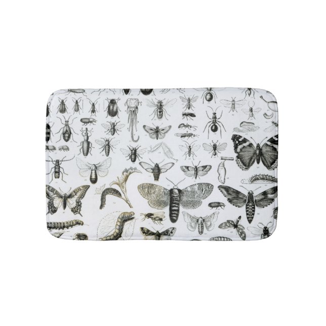 Entomologi Badrumsmatta (Framsidan)