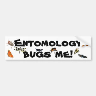 Entomologi buggar mig vitsen bildekal