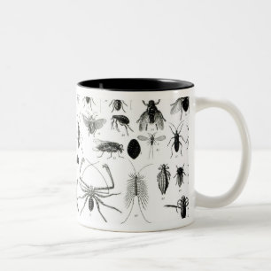 Entomologi, Myriapoda och Arachnida Två-Tonad Mugg