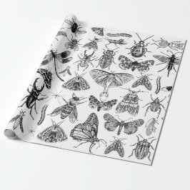 Entomologi Papper Kryp Insekter Gift Wrap Presentpapper