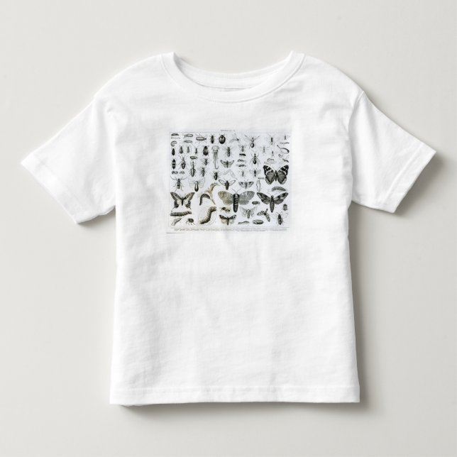Entomologi Tee Shirt (Framsida)