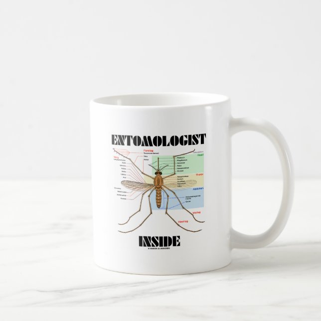Entomologistinsida (myggaanatomi) kaffemugg (Höger)