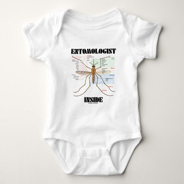 Entomologistinsida (myggaanatomi) t-shirt (Framsida)
