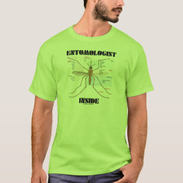 Entomologistinsida (myggaanatomi) tee