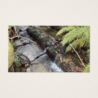 Entorno   Natural  Tarjeta   Visita Visitkort