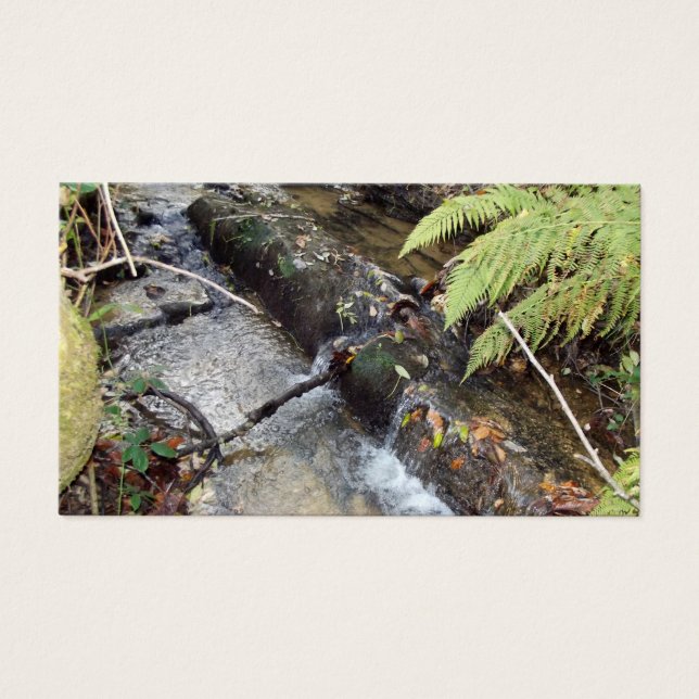 Entorno   Natural  Tarjeta   Visita Visitkort (Framsidan)