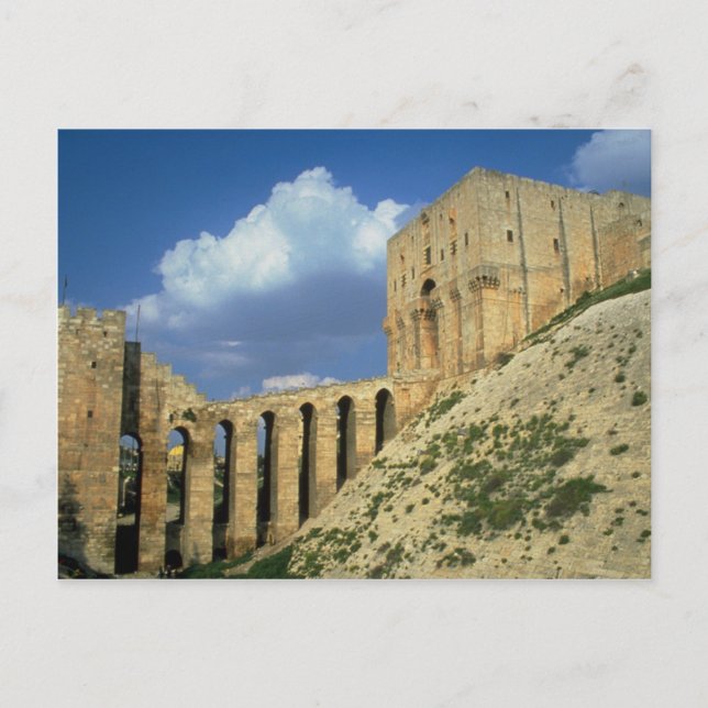 Entrance bridge and moat, The Citadel, Aleppo, Syr Vykort (Framsida)