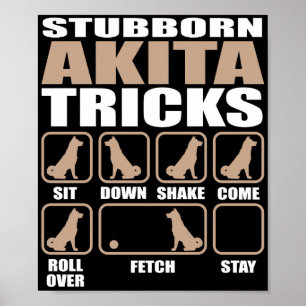 Envis Akita trickdesign Poster
