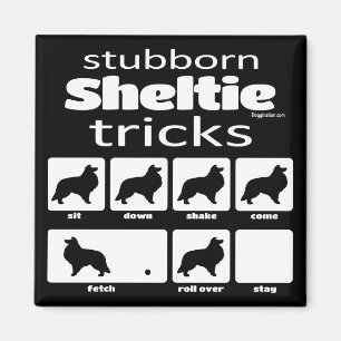 Envisa Sheltie trick Magnet