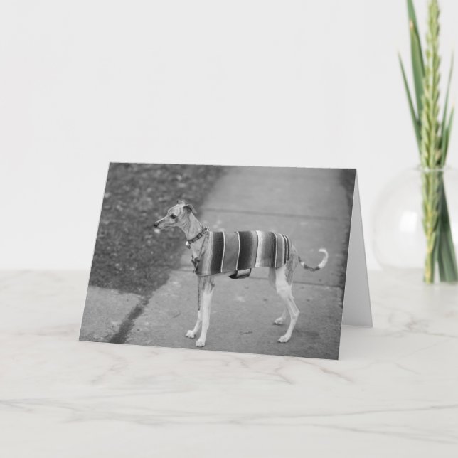 Enzos hälsningkort kort (Framsida)