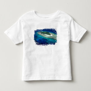 Eori Island, Mamanucaöarna, Fiji - flygbild T-shirt