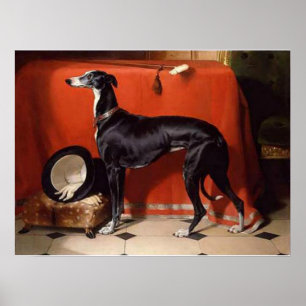 Eos en favorit- vinthund av Prince Albert Poster