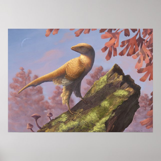 Eosinopteryx Skriv ut Poster (Framsidan)