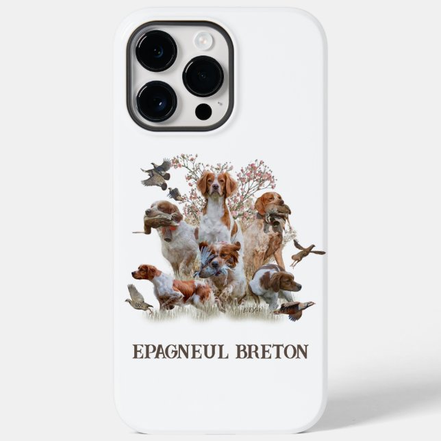 Epagneul Breton, Bretagne Spanska (Baksida)