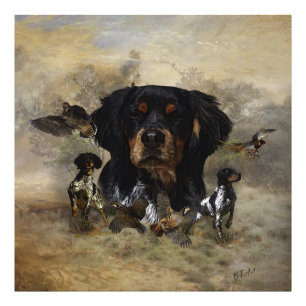 Epagneul Breton, Bretagne Spanska Fototryck