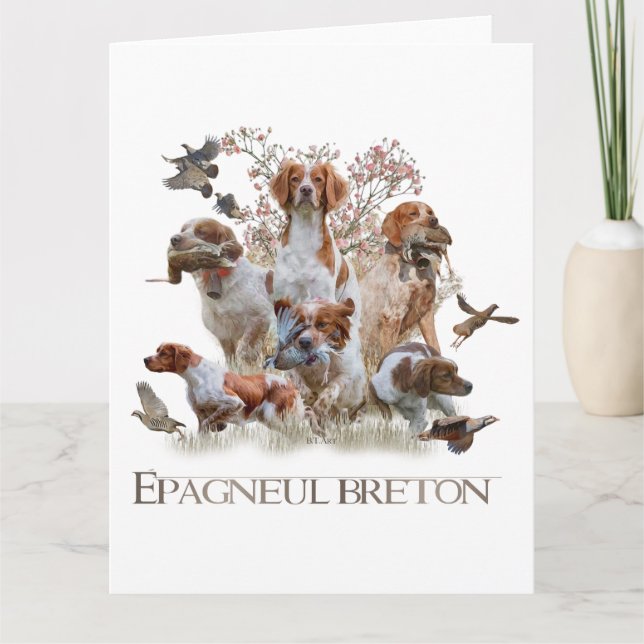 Epagneul Breton, Bretagne Spanska Kort (Framsida)