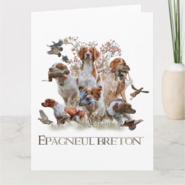 Epagneul Breton, Bretagne Spanska Kort