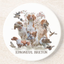 Epagneul Breton, Bretagne Spanska